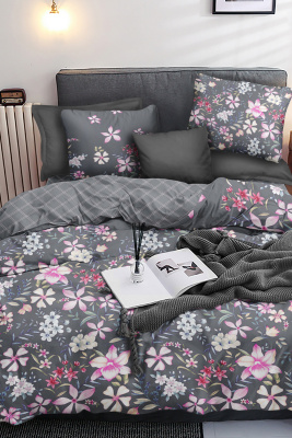 КПБ Павлайн Naturelle Авиньон 2 сп. серый