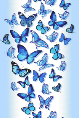 5fe70d50-6732-4eb1-9fd2-cb3ea84c517c