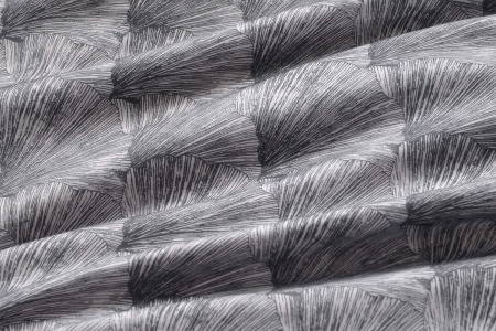 e2f80b49-4afd-4337-a134-29dac64c462c