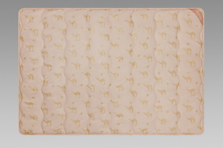 53811c75-aa79-48a6-af12-328b2fa0f9ea